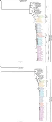 Phylogeny, Diversification Rate, and Divergence Time of <mark class="highlighted">Agave</mark> sensu lato (Asparagaceae), a Group of Recent Origin in the Process of Diversification